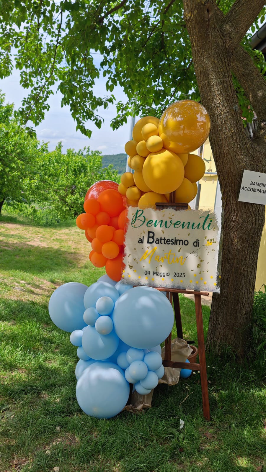 Balloon Artist